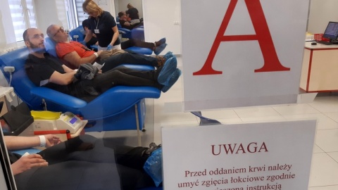 Przed Centrum Krwiodawstwa stanął namiot Lasów Państwowych, a w środku 150 dorodnych, świeżo ściętych świerków. Drzewka są prezentem dla osób, które przed świętami podzielą się krwią/fot. Henryk Żyłkowski