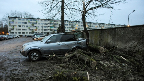 Mocno wieje w całym kraju. Ostrzeżenia meteorologów, również dla regionu [wideo]