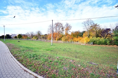 Połączenie zabawy i nauki na łonie natury. W Gniewkowie powstanie park edukacyjny