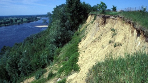 Unikatowa roślinność, głazy, zwierzęta. Przyrodnicze perły regionu staną się rezerwatami