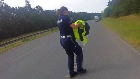 Leżał na jezdni, potrącił go samochód. Bydgoscy policjanci uratowali myszołowa [wideo]