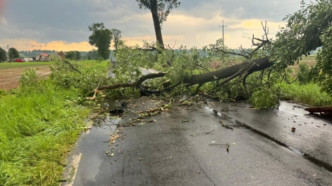 Ponad 160 interwencji po burzach w regionie. Duże zniszczenia w powiecie chełmińskim