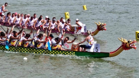 Worek medali w smoczych łodziach Sukces chełmińskich wioślarzy na mistrzostwach Europy [zdjęcia]