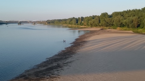 Będzie zakaz wchodzenia na łachy wiślane Ratownicy: Codziennie mamy kilkanaście wezwań