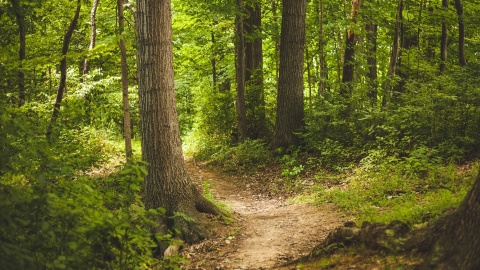 Natura najważniejsza Leśnicy chcą uznania kolejnych rezerwatów przyrody w regionie