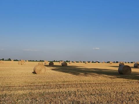 Nietypowy rok dla rolników z regionu. Powinniśmy być w połowie, a niektórzy kończą żniwa