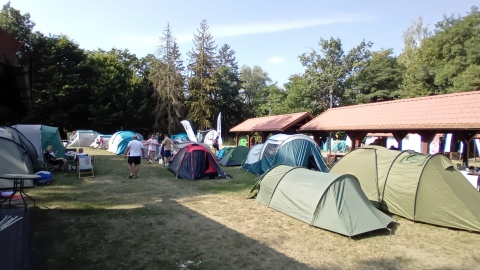 Rodziny złapały za kajaki i ruszyły nad Wdę. Wystartował 27. Ogólnopolski Maraton Kajakowy [zdjęcia]