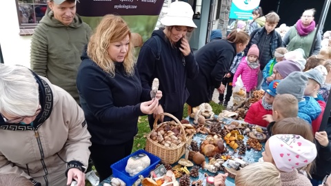 Eksponaty nie poczekają na zwiedzających Najstarsza wystawa w Polsce trwa dwa dni [zdjęcia]