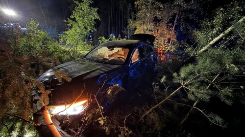 Auto wylądowało na drzewie, a kierowca zniknął. Służby szukały go przez wiele godzin [zdjęcia]