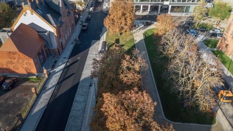 Kasztanowce najjaśniejszym punktem skweru Plac Kościeleckich wygląda teraz tak [zdjęcia]