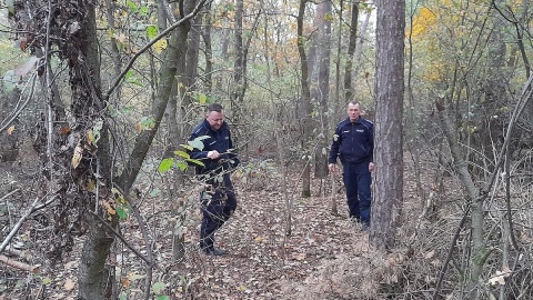 75-latka z Włocławka wyszła na grzyby i zgubiła się w lesie. Odnaleźli ją policjanci z Lipna