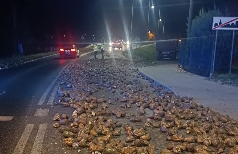 Mnóstwo buraków na wylotówce z Inowrocławia. 31-latek gubił ładunek, przypłacił to mandatem