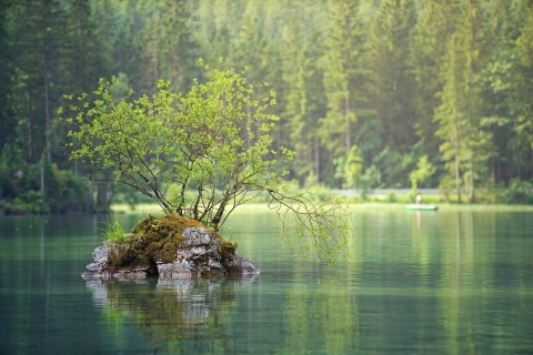 Takiej łodzi nie ma w całym powiecie świeckim. Głównym celem walka z kłusownikami