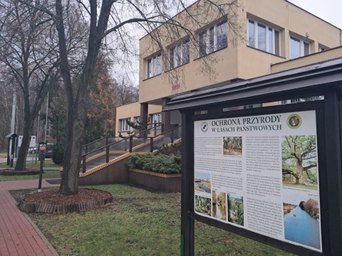 W tych miejscach nie będzie dużej wycinki. W regionie powstały lasy społeczne