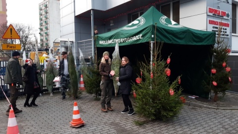 W kieszeni czekolada, a pod pachą choinka Świąteczny prezent dla krwiodawców [zdjęcia]