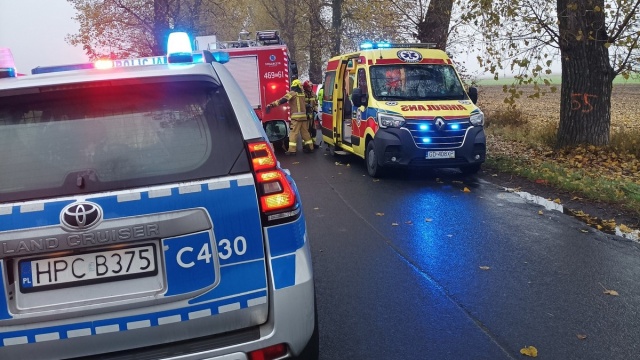 Samochód uderzył w drzewo, dwie osoby nie żyją. Wypadek w Kobylnikach koło Kruszwicy