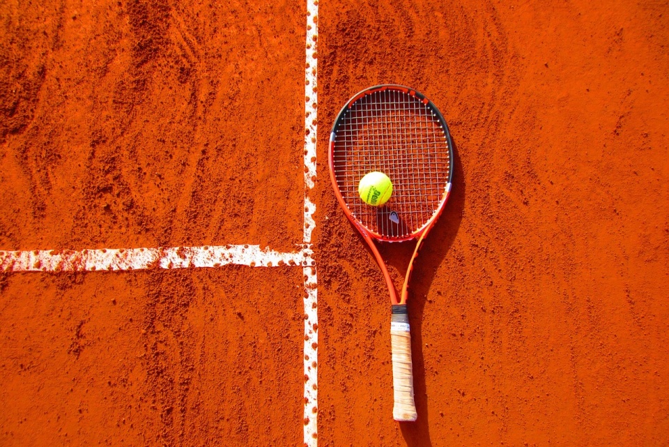 Hurkacz awansował do trzeciej rundy Rolanda Garrosa/fot. pixabay.com