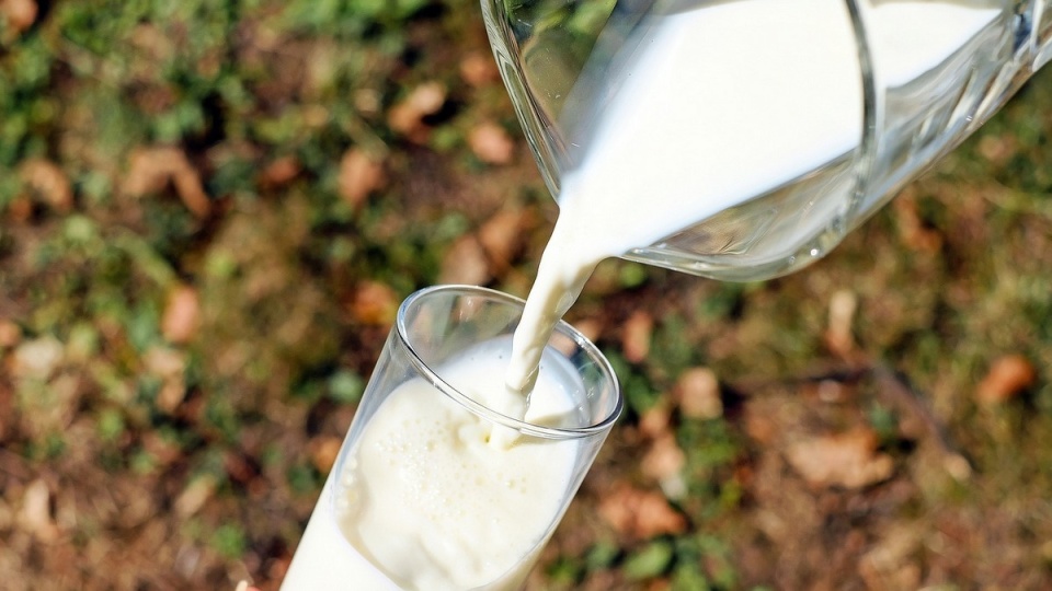 Najczęstsze alergeny to mleko, jajo kurze, orzeszki ziemne/fot. Pixabay