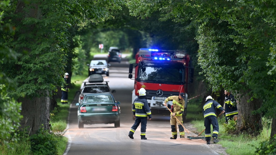 Miejsce tragicznego wypadku na drodze Miasto-Chlebowo. W wypadku zginęła dziewięciolatka/fot. Andrzej Jackowski, PAP