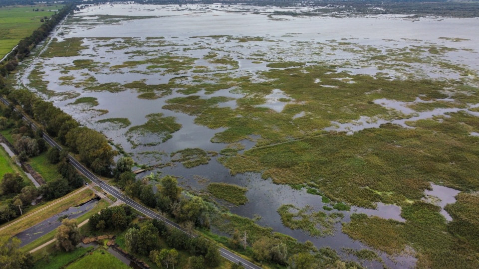 Wody Odry zalewają Park Narodowy „Ujście Warty” w Kostrzynie nad Odrą/fot. Lech Muszyński/PAP