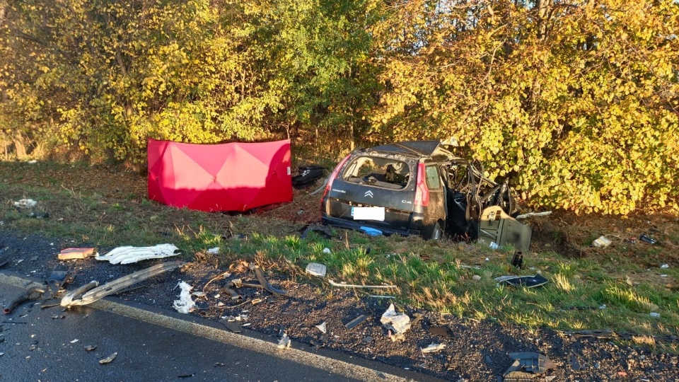 Kierujący citroenem poniósł śmierć na miejscu/fot. KPP w Mogilnie