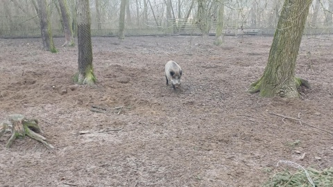 Ferie w zoo w Bydgoszczy/fot. Katarzyna Bogucka