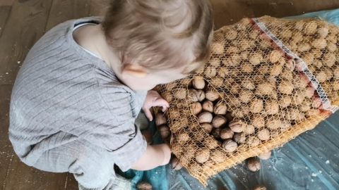 Tak wyglądały zajęcia w Kulturalnym hubie na Bydgoskim Przedmieściu. / Fot. Anna Rudzińska