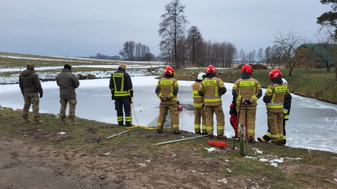 Policja przeszukała staw/fot. KPP w Sępólnie Krajeńskim