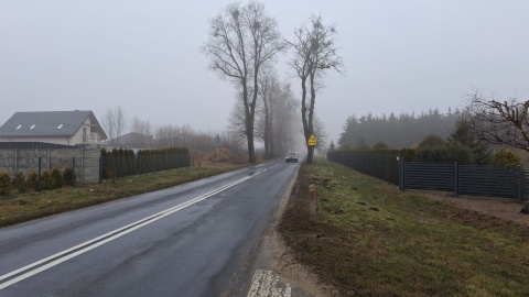 W planach jest ścieżka rowerowa przy drodze wojewódzkiej numer 272 ze Świecia do Laskowic/fot. Marcin Doliński/fot. Marcin Doliński