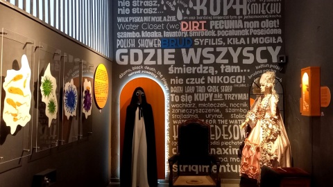 Tak w środku prezentuje się Muzeum Mydła i Historii Brudu w Bydgoszczy. / Fot Archiwum / Tatiana Adonis