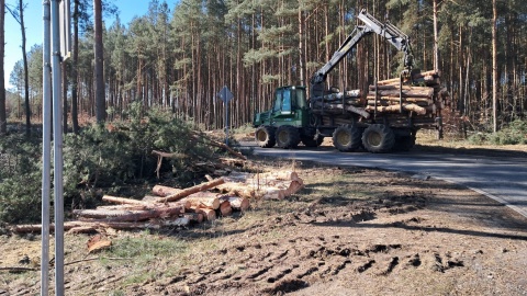 Wycinka drzew między Bydgoszczą i Białymi Błotami potrwa do godz. 18:00. Jednak służby nie wykluczają wznowienia prac w środę, już przy ruchu wahadłowym/fot: Damian Klich