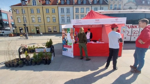 Tak wyglądała cała akcja na Starym Rynku w Bydgoszczy. / Fot. Jolanta Fischer