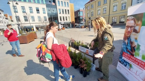 Tak wyglądała cała akcja na Starym Rynku w Bydgoszczy. / Fot. Jolanta Fischer