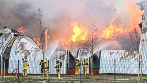 Pożar hali przy ulicy Petersona w Bydgoszczy. Na miejscu 42 zastępy strażaków [zdjęcia, wideo]