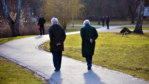 Ilu mamy seniorów w regionie Urząd Statystyczny odpowiada: coraz więcej. Rośnie długość życia