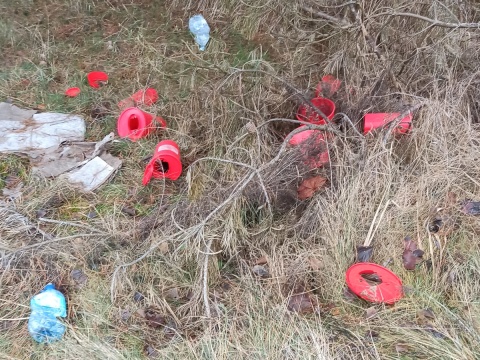 Odpady medyczne porzucone w lesie w Bydgoszczy Natrafił na nie patrol Straży Miejskiej i Leśnej