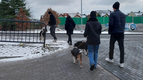 Miłość ma niejedno oblicze  nie tylko ludzkie. Kolejne Psialentynki w Bydgoszczy [zdjęcia]