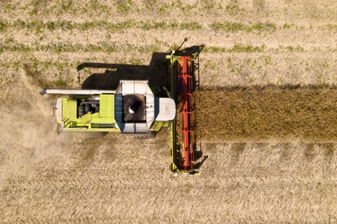 Jak CLAAS Dominator poprawia efektywność i plonowanie w dużych gospodarstwach rolnych [reklama]