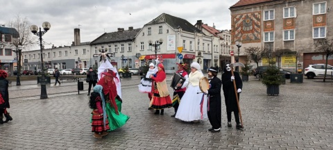 Koza opanowała dziś inowrocławski rynek i targowisko