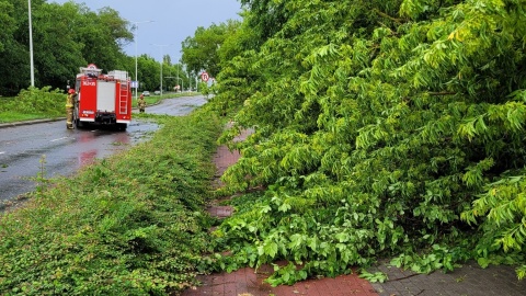 Nawałnica przeszła przez region Strażacy interweniowali ponad 100 razy, najczęściej w okolicach Włocławka