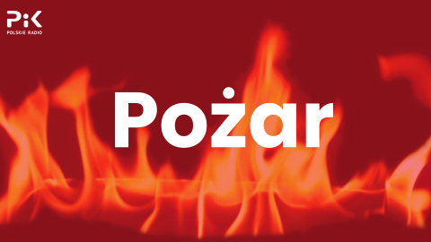 Pożar poszycia leśnego w podtoruńskich Łazach. W akcji siedem zastępów straży pożarnej