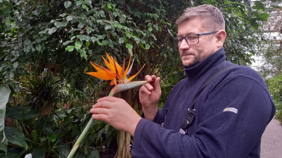 Jarosław Mikietyński, kierownik ogrodu/fot. Agata Raczek