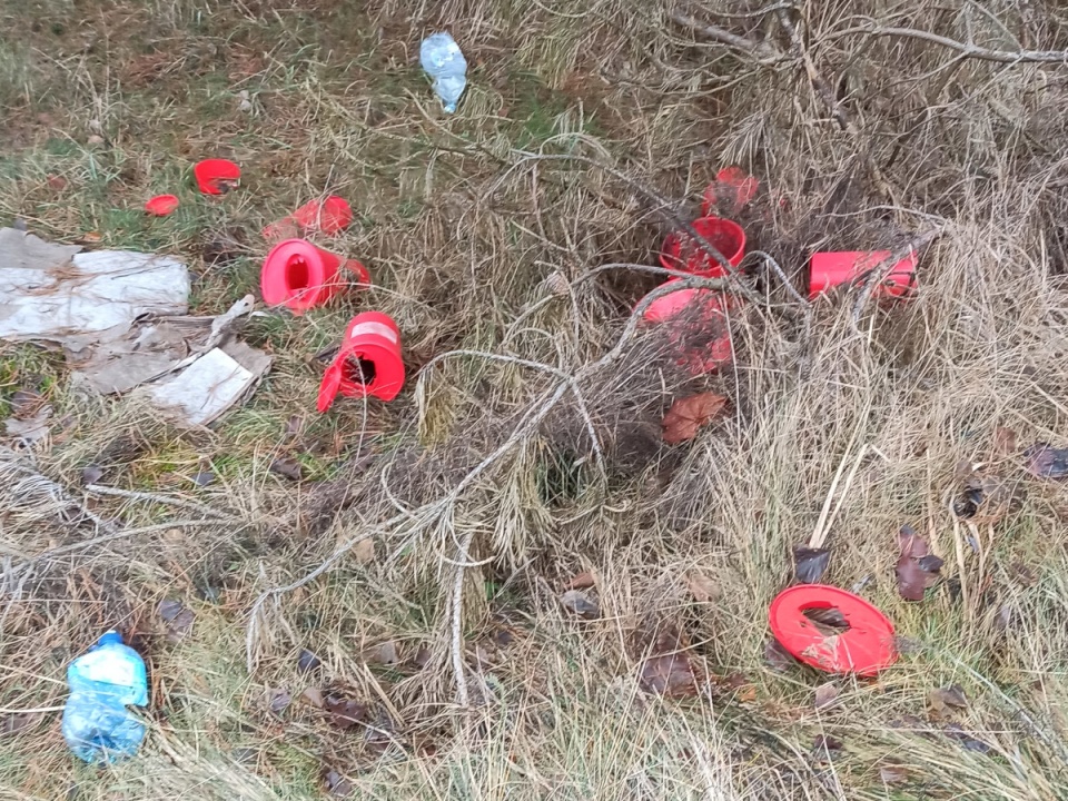 Patrol Straży Miejskiej i Straży Leśnej trafił w lesie przy ulicy Nowotoruńskiej w Bydgoszczy na kilkanaście odpadów medycznych/fot: Straż Miejska w Bydgoszczy