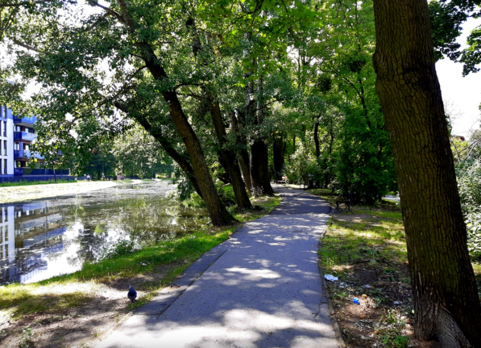 Park nad Kanałem Bydgoskim czeka rewitalizacja/fot. Żaneta Walentyn, archiwum