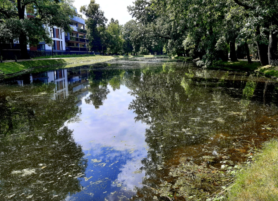 Park nad Kanałem Bydgoskim czeka rewitalizacja/fot. Żaneta Walentyn, archiwum