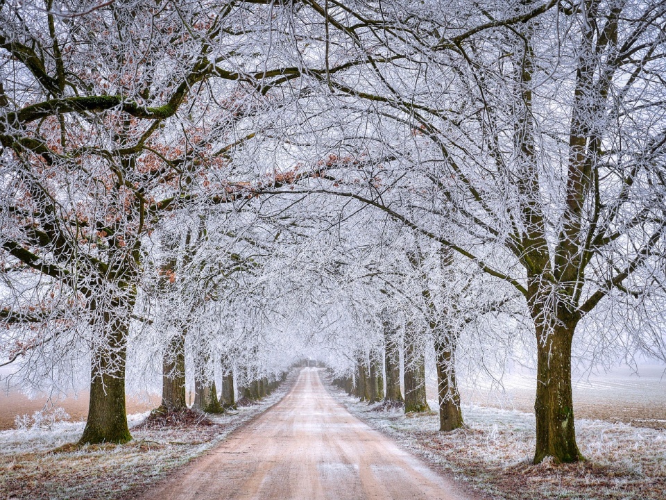 Od niedzieli wieczorem, do poniedziałkowego poranka ma być bardzo mroźno/fot. Pixabay