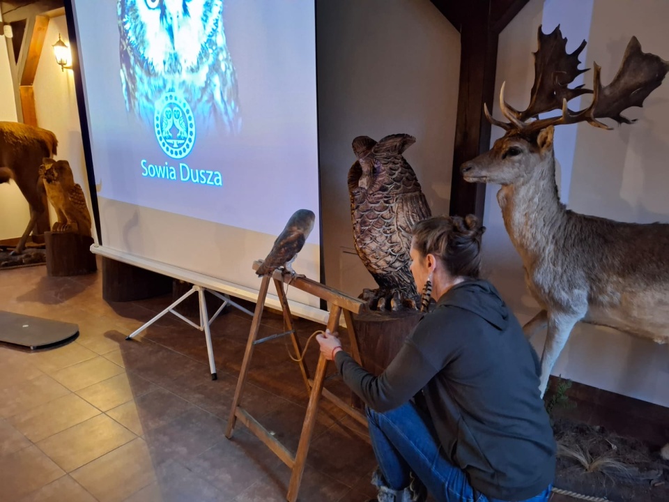 Spotkanie „Co w lesie huczy?” w Nadleśnictwie Dąbrowa/fot. Marcin Doliński