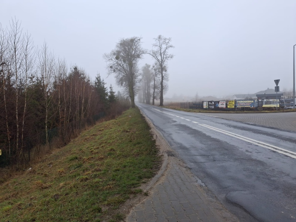 W planach jest ścieżka rowerowa przy drodze wojewódzkiej numer 272 ze Świecia do Laskowic/fot. Marcin Doliński